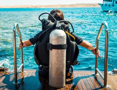 What Is a Scuba Tank.png – Diving Deep: Confirmed Suggestions For Choosing And Shopping for The Proper Dive Tank – The Digital Boy