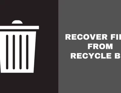 Recover Files From the Recycle Bin – How To Get well Recordsdata From the Recycle Bin With Wondershare Recoverit – The Digital Boy