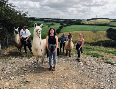 WhatsApp Image 2023 08 29 at 10.29.54 PM 1 – Llama Tent Camping: An Unforgettable Journey into the Undiscovered – The Digital Boy