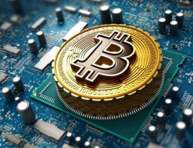 What is the Bitcoin Payment Processor – Transforming the Business Landscape: How Bitcoin Casinos Are Redefining Cryptocurrency Ventures – The Digital Boy