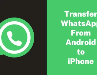 Transfer WhatsApp From Android to iPhone – How you can Switch WhatsApp From Android to iPhone utilizing iToolab WatsGo – The Digital Boy