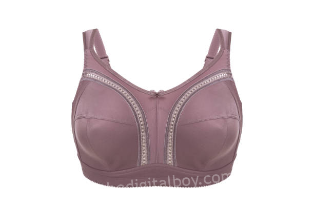 pasted image 0 2023 11 28T230959.781 – The Newest Pattern: Entrance Zip Bras for Simple On and Off – The Digital Boy