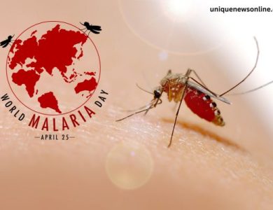 World Malaria Day Images – Images, Messages, Quotes, Greetings, Sayings, Cliparts and Instagram Captions To Create Awareness – The Digital Boy