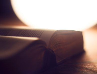 emerging trends and innovations in translation management solutions scaled – Emerging Trends and Innovations in Translation Management Solutions – The Digital Boy