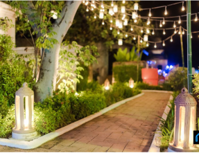 fre – How to Plan and Design Your Dream Garden – The Digital Boy